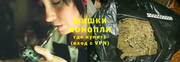 сатива Ессентукская