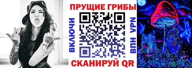 Псилоцибиновые грибы прущие грибы Комсомольск-на-Амуре